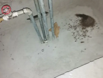 神池卫生间测漏水价格明细